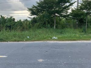 quoc lo 1a phu hung cai nuoc ca mau