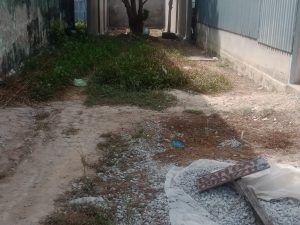 đất trường cao đăng cộng đồng cà mau, đại học y dược cà mau, p tân xuyên