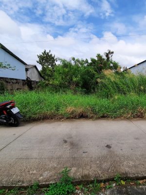 BÁN ĐẤT GẦN CHỢ NHÀ PHẤN XÃ THẠNH PHÚ