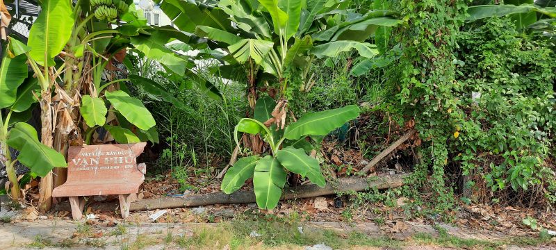 BÁN ĐẤT ĐƯỜNG DƯƠNG THỊ CẨM VÂN CÀ MAU