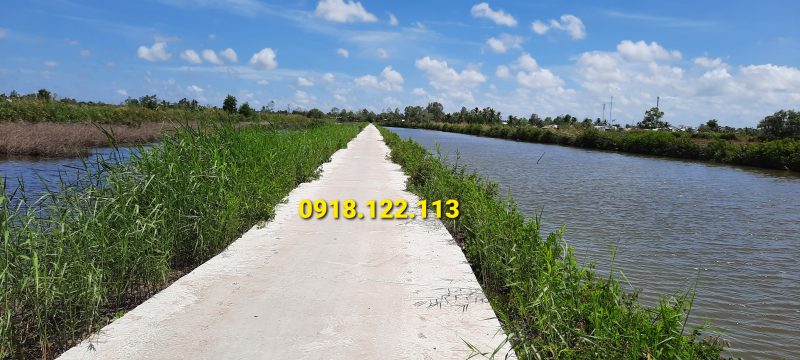 bán đất sau lưng quân đội thạnh phú cái nước