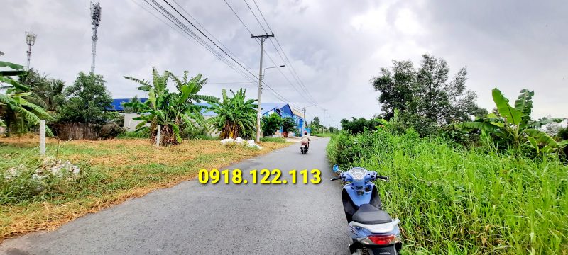 ĐƯỜNG HẢI THƯỢNG LÃN ÔNG P6 TP CÀ MAU BỆNH VIỆN ĐA KHOA CÀ MAU