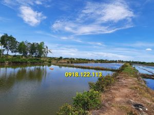 bán đất vuông, đất công tp cà mau cầu bà cai