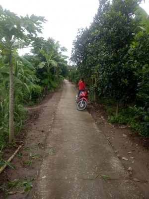 Bán đất công vuông gần Ngã ba Khai Hoang U Minh