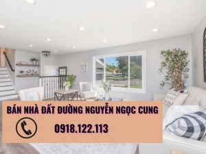Bán nhà và đất đường Nguyễn Ngọc Cung gần chợ Phường 8, bách hóa xanh, vinmart, bờ hồ phường 8