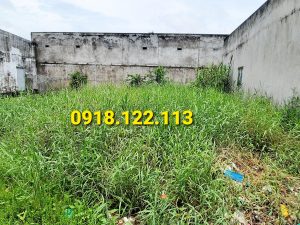 Bán đất hẽm phường 8 cà mau tuyến kênh rạch rập