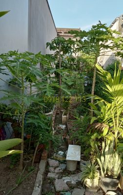 Bán đất thổ cư khóm 2 chợ phường 1 Tp Cà Mau