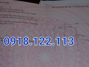 đất mặt tiền Quốc lộ 1A đoạn Rau Dừa Cái Nước