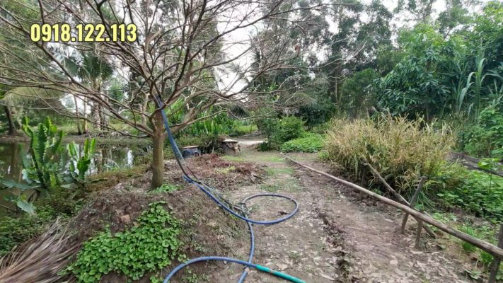 bán đất công vuông thới bình hồ thị kỷ cà mau