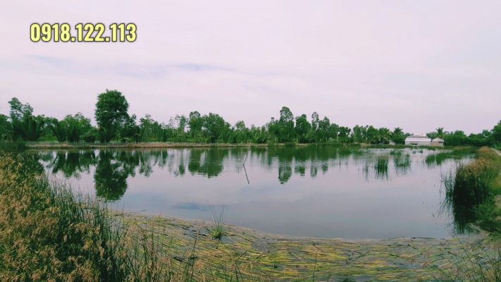 bán đất vuông tôm cà mau thới bình