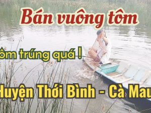 đất vuông tôm thới bình cà mau
