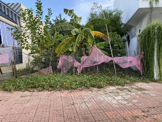 đất đường Phạm Thị Mai phường 1 gần vườn chim, đền thờ bác hồ cà mau, bảo tàng tp