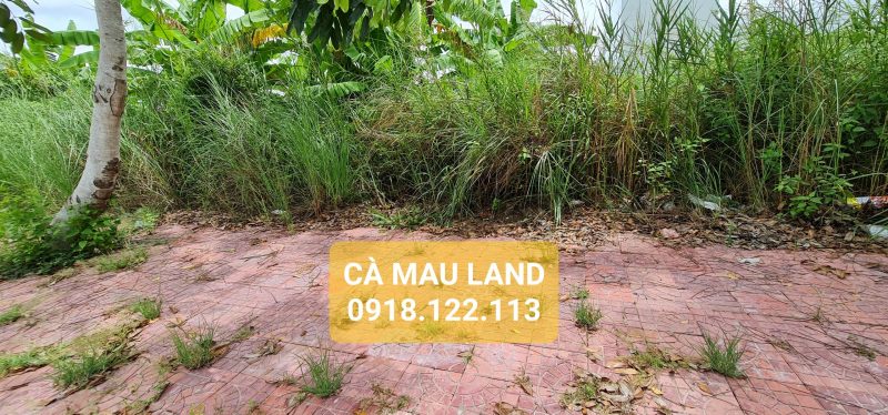 Bán đất Licogi Cà Mau đường Tố Hữu giá rẻ phường 1 cà mau land