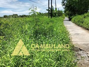 Bán đất rộng Hoà Thành Tp Cà Mau cạnh tuyến tránh QL1A giá rẻ