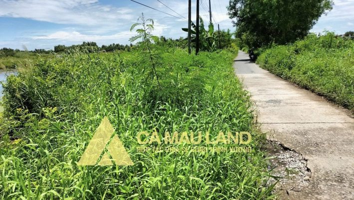 Bán đất rộng Hoà Thành Tp Cà Mau cạnh tuyến tránh QL1A giá rẻ