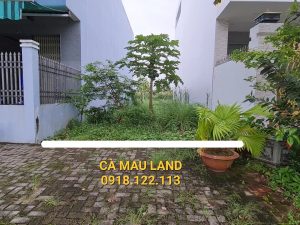 Bán đất KDC Minh Thắng Cà Mau đường số 6 giá rẻ gần tạ uyên p9