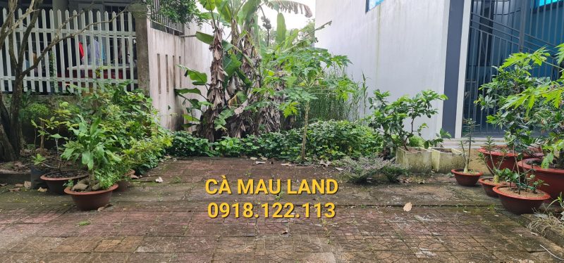 Bán đất Khu dân cư phường Tân Xuyên đường số 5 ngay trường cao đẳng cộng đồng Cà Mau, Đại học y dược Cà Mau