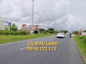 Bán đất hai mặt tiền Quốc lộ 1A xã Phú Hưng, huyện Cái Nước, Cà Mau Bán đất mặt tiền QL1A qua chợ Cái Rắn ( chợ xã Phú Hưng )