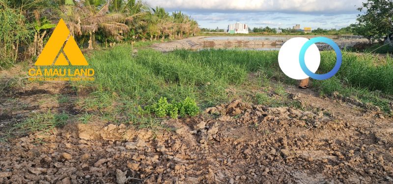 bán đất kênh Rạch Rập Thạnh Phú gần cầu Lương Thế Trân nhà phấn cái nước ca mau