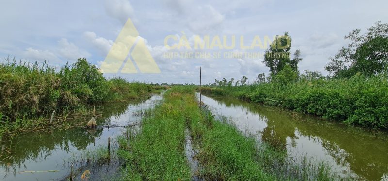 Bán đất rộng 8700m2 cầu Giồng Kè Cà Mau gần Ngô Quyền khí điện đạm tân xuyên
