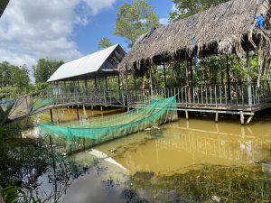 Bán đất Vành Đai 2 (đường Mậu Thân) gần ngã tư Tiến Phát