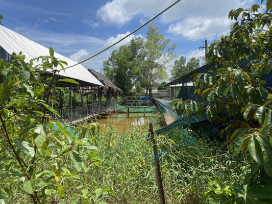 Bán đất Vành Đai 2 (đường Mậu Thân) gần ngã tư Tiến Phát tôn đức thắng