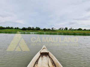 Bán đất vuông cách chợ Tắc Vân Tp Cà Mau 2km giá rẻ