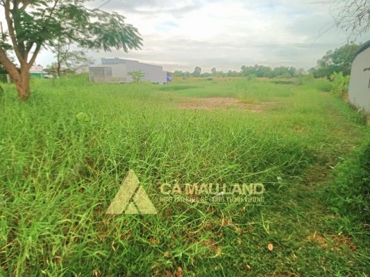 Bán đất cạnh cầu Hoà Trung, ngay ngã ba đường Đầm Dơi – Cà Mau, ấp Thành Vọng, xã Tân Trung