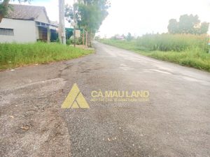 Bán đất cạnh cầu Hoà Trung, ngay ngã ba đường Đầm Dơi – Cà Mau, ấp Thành Vọng, xã Tân Trung, huyện Đầm Dơi