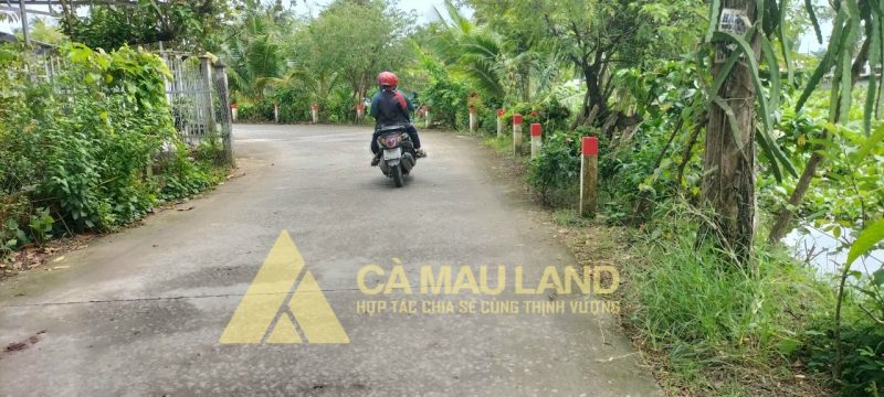 Bán đất thổ cư cống Bà Điều xã Lý Văn Lâm, Tp Cà Mau  Quốc lộ 1A, kênh Chòi Ngói  gần khu hoàng tâm