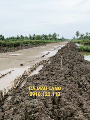 Nền lộ Đông Tây gần chợ Rau Dừa, ấp Vịnh Gốc, xã Hưng Mỹ, huyện Cái Nước