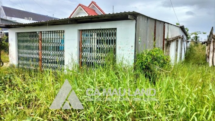 BÁN ĐẤT QUỐC LỘ 1A XÃ ĐỊNH BÌNH, TP CÀ MAU GIÁ CỰC RẺ, ấp cây trâm