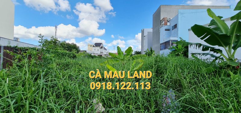 Bán 3 nền đường số 9 Tái định cư phường 4 Cà Mau giá rẻ •Đất đường số 9 TĐC Phường 4 cạnh quán café Mỏ Neo, gần góc ngã ba đường với số 1.