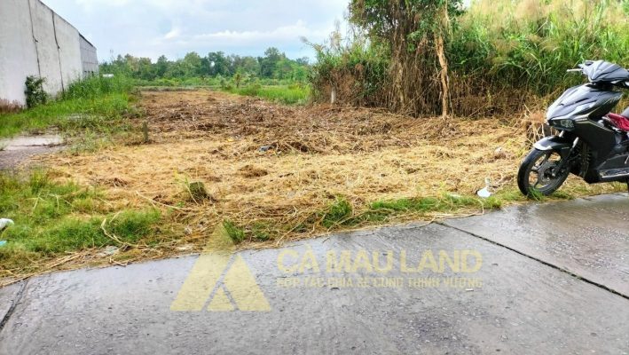 BÁN ĐẤT THỔ CƯ 100% KÊNH 26/3 TRƯỜNG LƯƠNG THẾ VINH, PHƯỜNG 8, CÀ MAU
