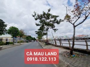 Bán đất Trương Phùng Xuân Phường 8 Cà Mau hợp làm nhà trọ
