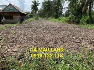 Bán đất chợ Cái Rắn Phú Hưng Cái Nước Cà Mau