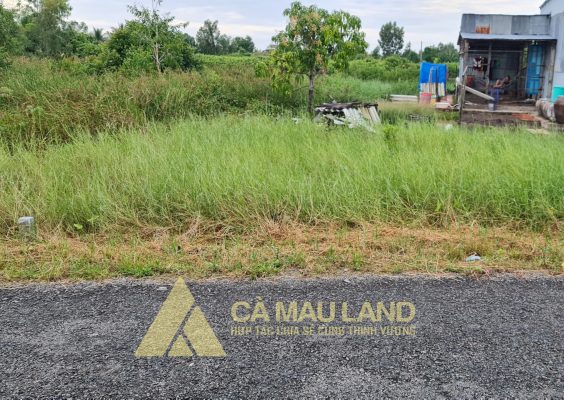 Bán đất Tân Thạnh sát Quản lộ Phụng Hiệp thổ cư giá rẻ, xã tân thạnh giá rai bạc liêu