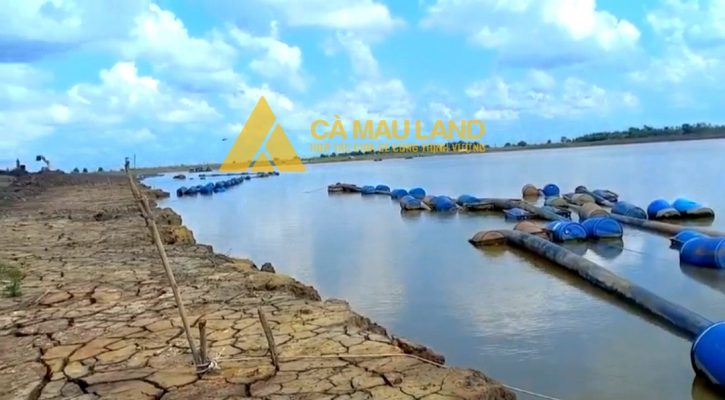 Bán đất ngay hồ nước ngọt xã Khánh An huyện U Minh; bán đất vuông tôm khánh an u minh; 