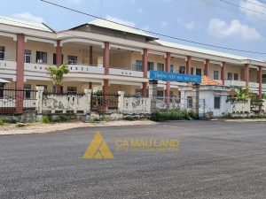 Bán đất đường số 6 TDC phường 4 cà mau