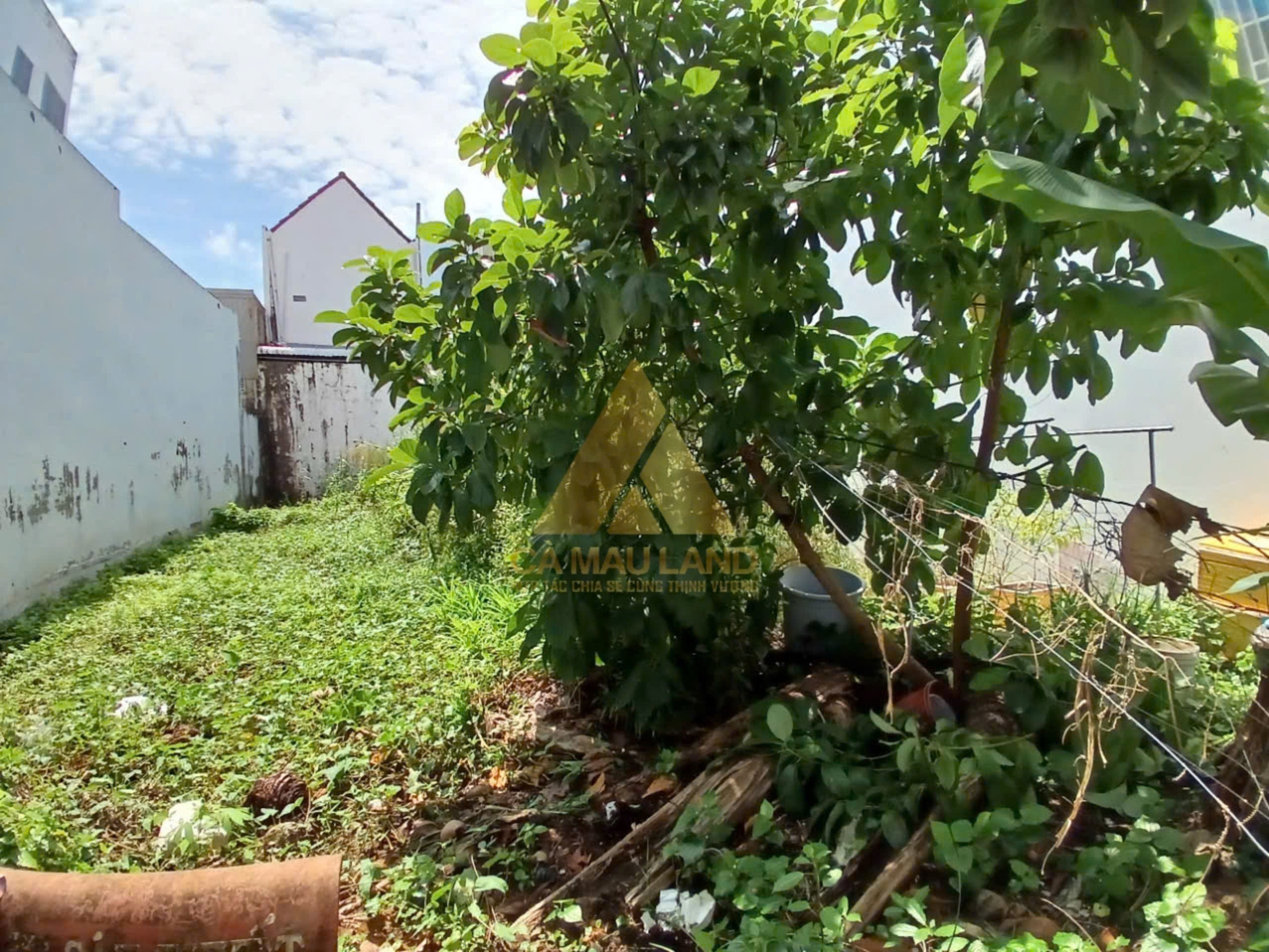 Đất khu đô thị Tài Lộc giá rẻ